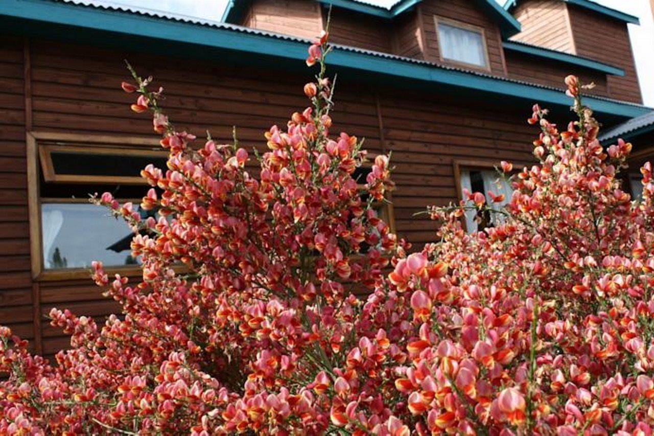 Hosteria Hainen El Calafate Bagian luar foto